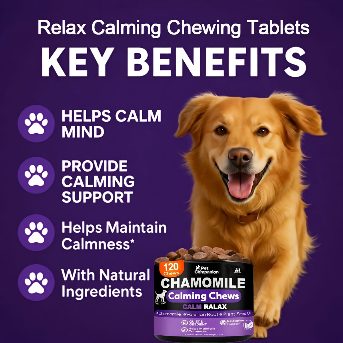 L-Theanine Dog Calming Chews, 120 Chicken-Flavored Soft Chewable Tablets for Daily Relaxation and Emotional Balance Support, 1 Bottle