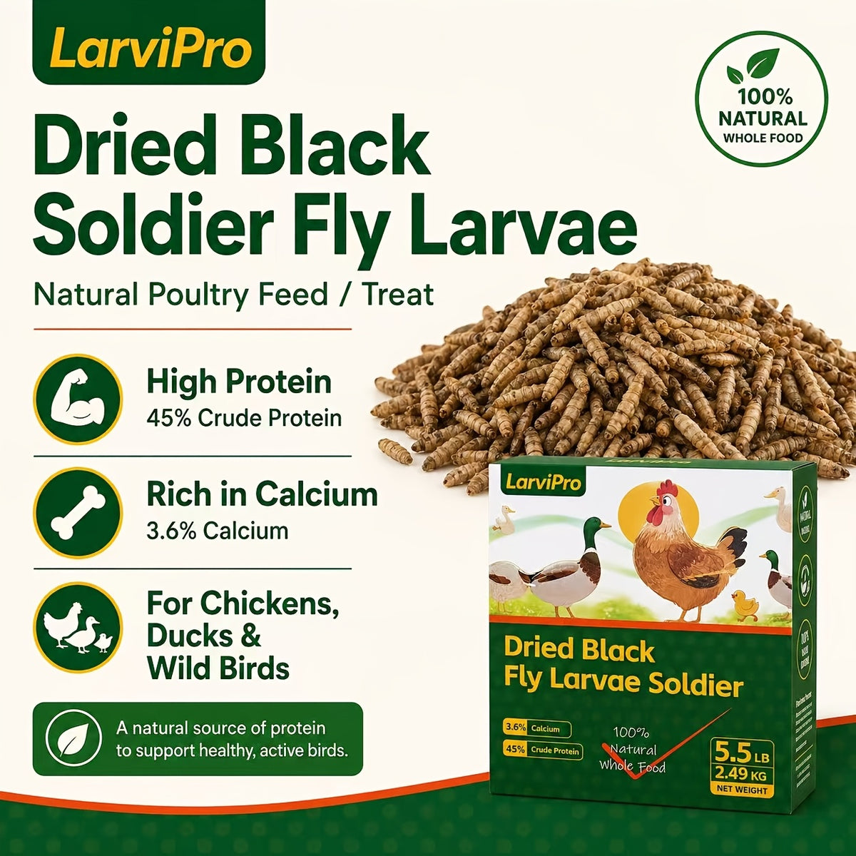 Chicken Grub Treats, Dried Black Soldier Fly Larvae in 5.5 lb or 11 lb Packs for Backyard Hens, Ducks and Wild Birds, Supplemental Foraging Snacks