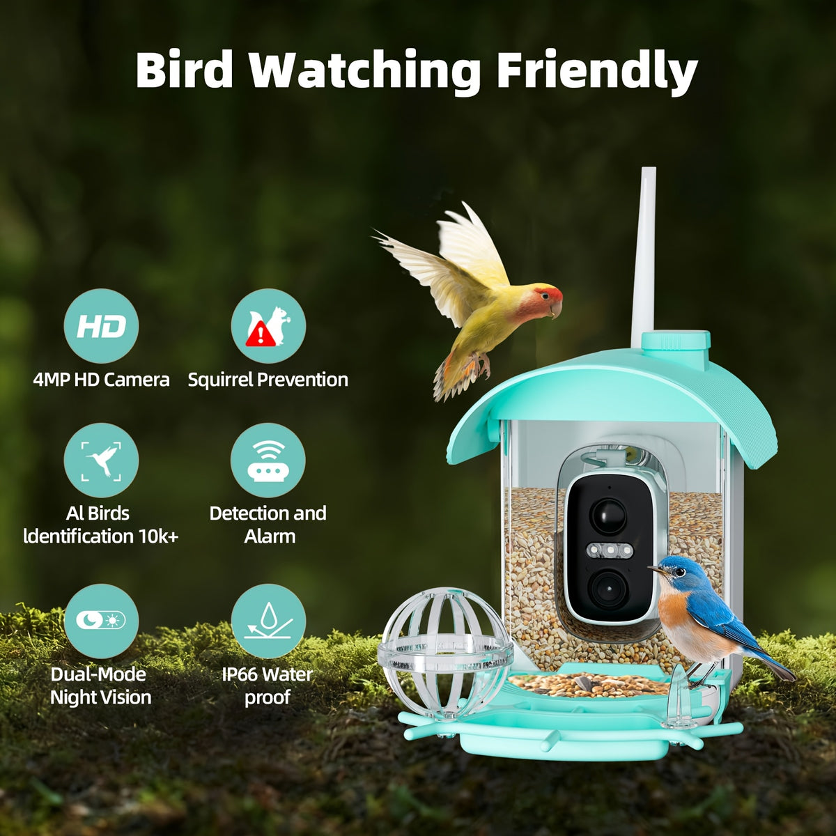 Smart Bird Feeder with Camera, Solar Powered 2K Live View with 4MP Lens, Motion Alerts and AI Bird Recognition for Backyard Bird Watching