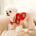 Knitted Dog Cardigan Sweater in Red, Multicolor or Light Blue, XS-XL Winter Pet Clothing for Puppy Outfits, Cool Weather Walks and Family Photos