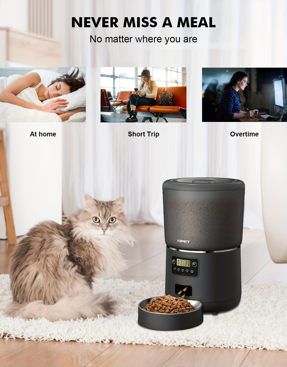 4L Automatic Pet Feeder by NPET, Cat and Dog Food Dispenser with Stainless Steel Bowl, USB or Battery Power and App or Camera Version Options