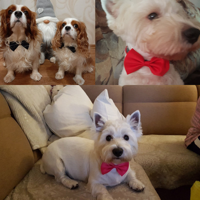 Pet Bow Tie Set 50 Pieces, Random Mixed Color Soft Fabric Dog and Cat Dress-Up Accessories for Grooming Finishes, Birthday Parties and Photo Sessions