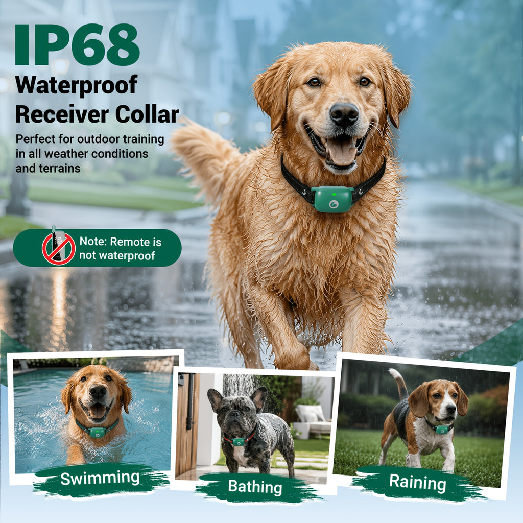 Multi-Dog Training Collar with Remote, Green Electronic Collar with 3 Training Modes and Icons for Medium and Large Dogs, 2 or 3 Dog Options