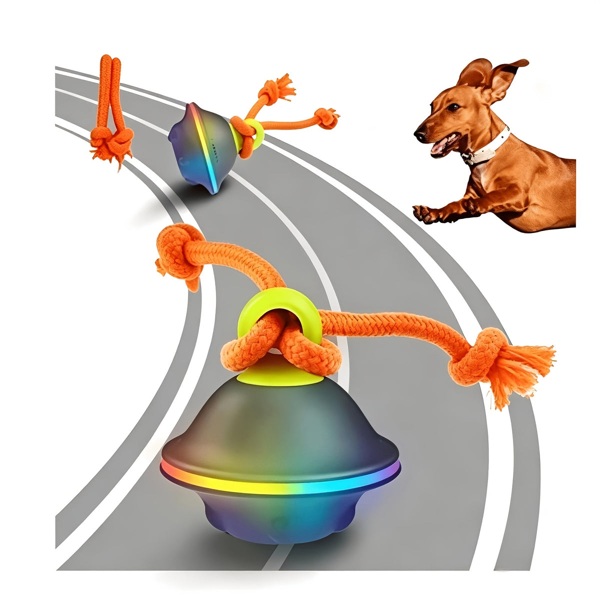 Automatic Rolling Dog Ball with Voice Recording and Rope, Interactive Moving Puppy Toy for Small and Medium Dogs, Supervised Chase Play