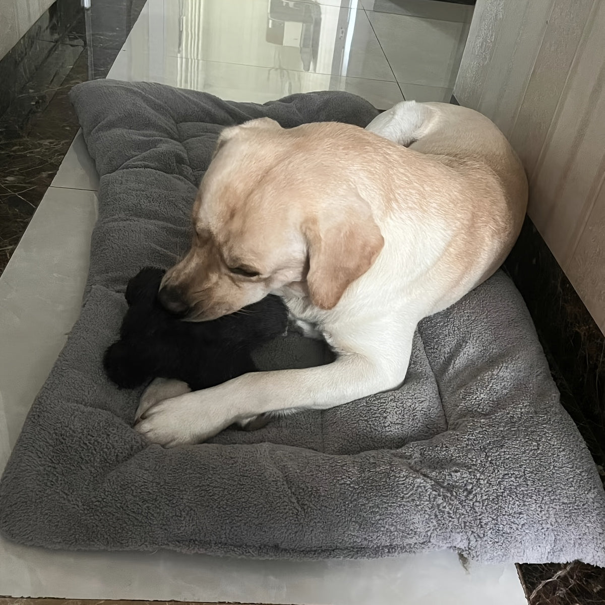 Bolster Dog Bed in Gray, Soft Rectangular Pet Sleeping Mat with Raised Edges and Non-Slip Base, Medium Style for Everyday Indoor Rest