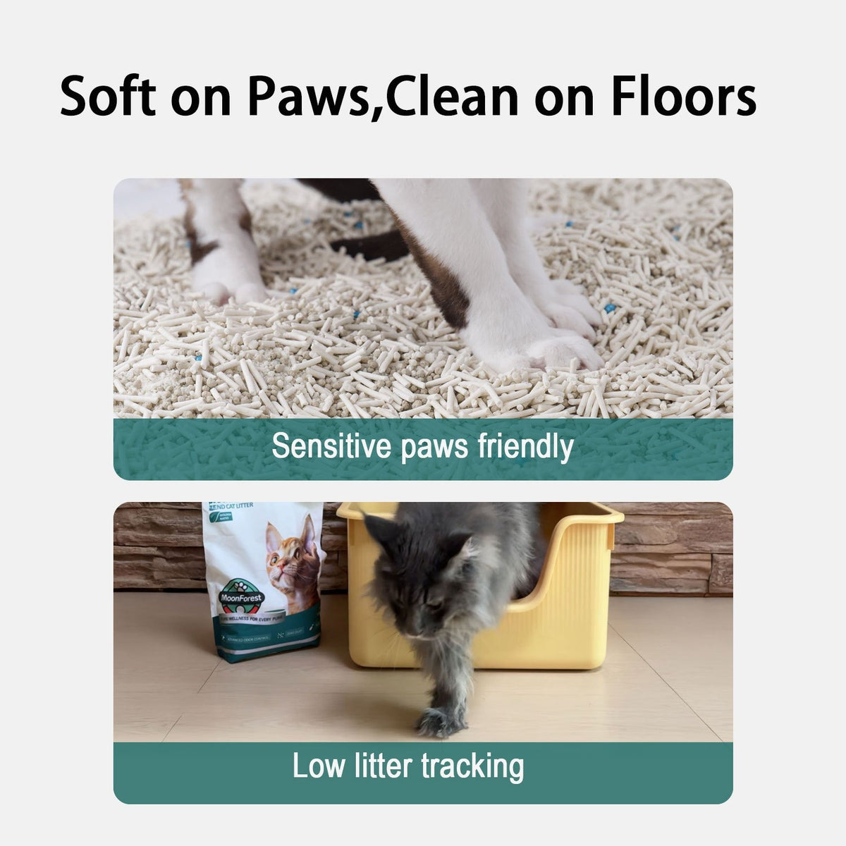 Clumping Tofu Blend Cat Litter with Odor Control and Low-Dust Formula, 1-Pack or 3-Pack Options for Everyday Indoor Cat Litter Box Care