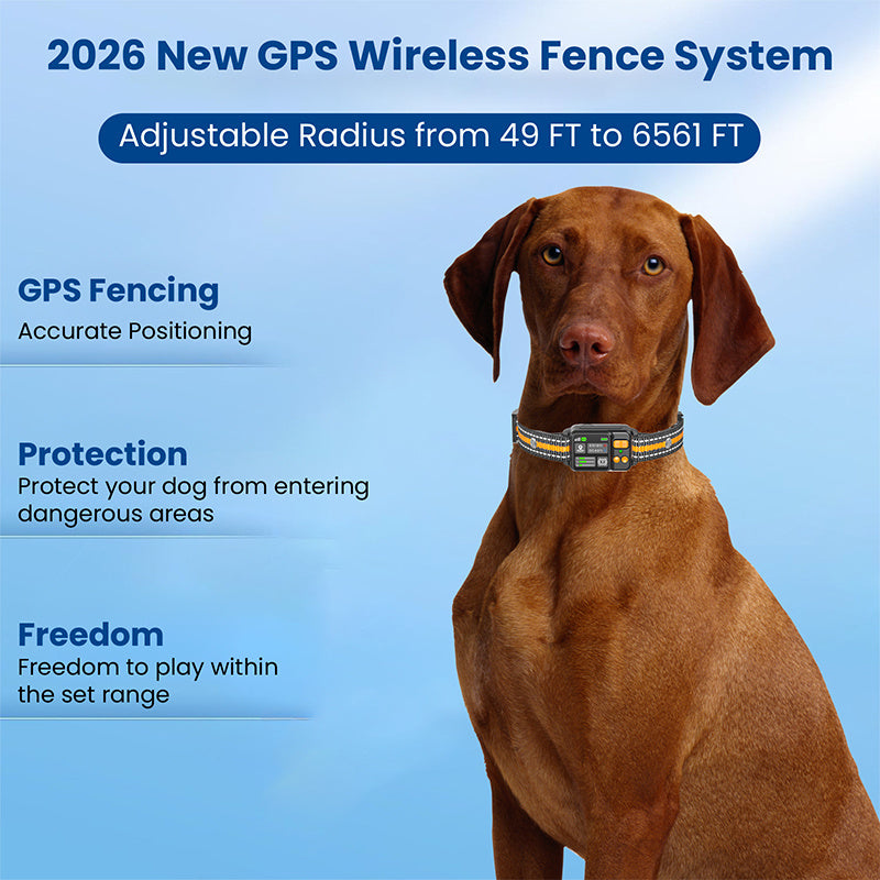 Wireless GPS Dog Fence with Circular Boundary Mode, Orange Rechargeable Dog Collar System for Supervised Outdoor Yard Training, No Buried Wires