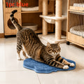 Cat Massage Brush Mat for Self Grooming, 11.02 x 11.81 Inch Wall-Mounted Scratcher Pad for Indoor Cats, Loose Fur Care in Blue, Pink or Gray