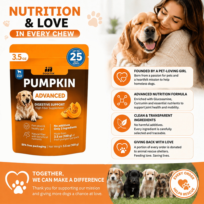 Pumpkin Fiber Supplement for Dogs, 3.5 oz (100g) Digestive Care Supplement for Canine Feeding Routines and Everyday Nutritional Support