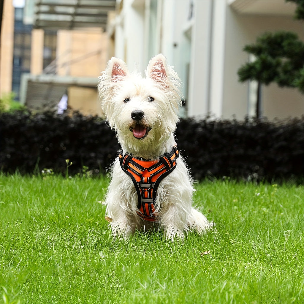 Front Clip No-Pull Dog Harness with Reflective Control Handle, Adjustable Walking Gear for Small, Medium and Large Dogs, S to XL Color Options