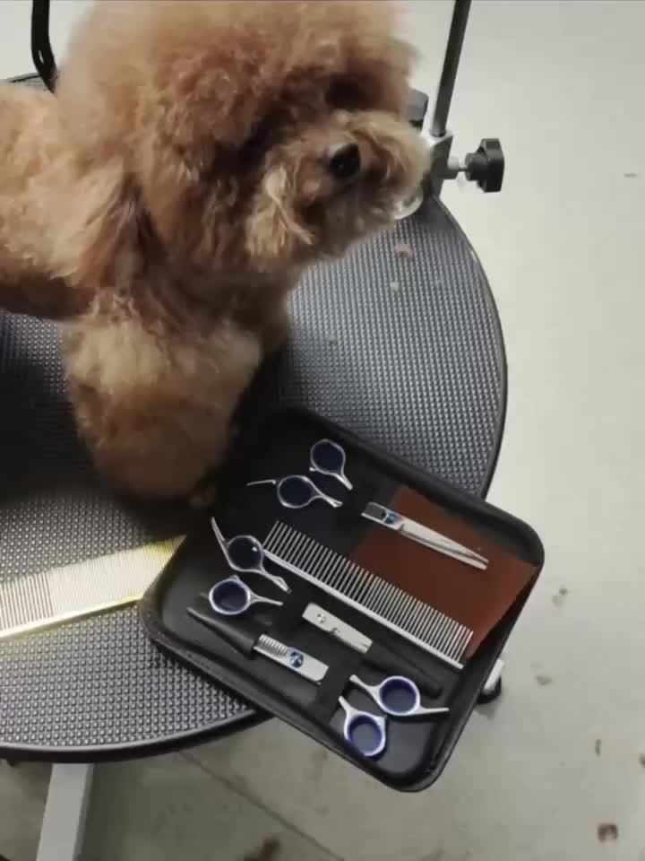 Pet Grooming Scissors 6-Piece Set with Titanium-Coated 4CR Stainless Steel and Rounded Tips, Manual Coat Trimming Tools for Dogs and Cats