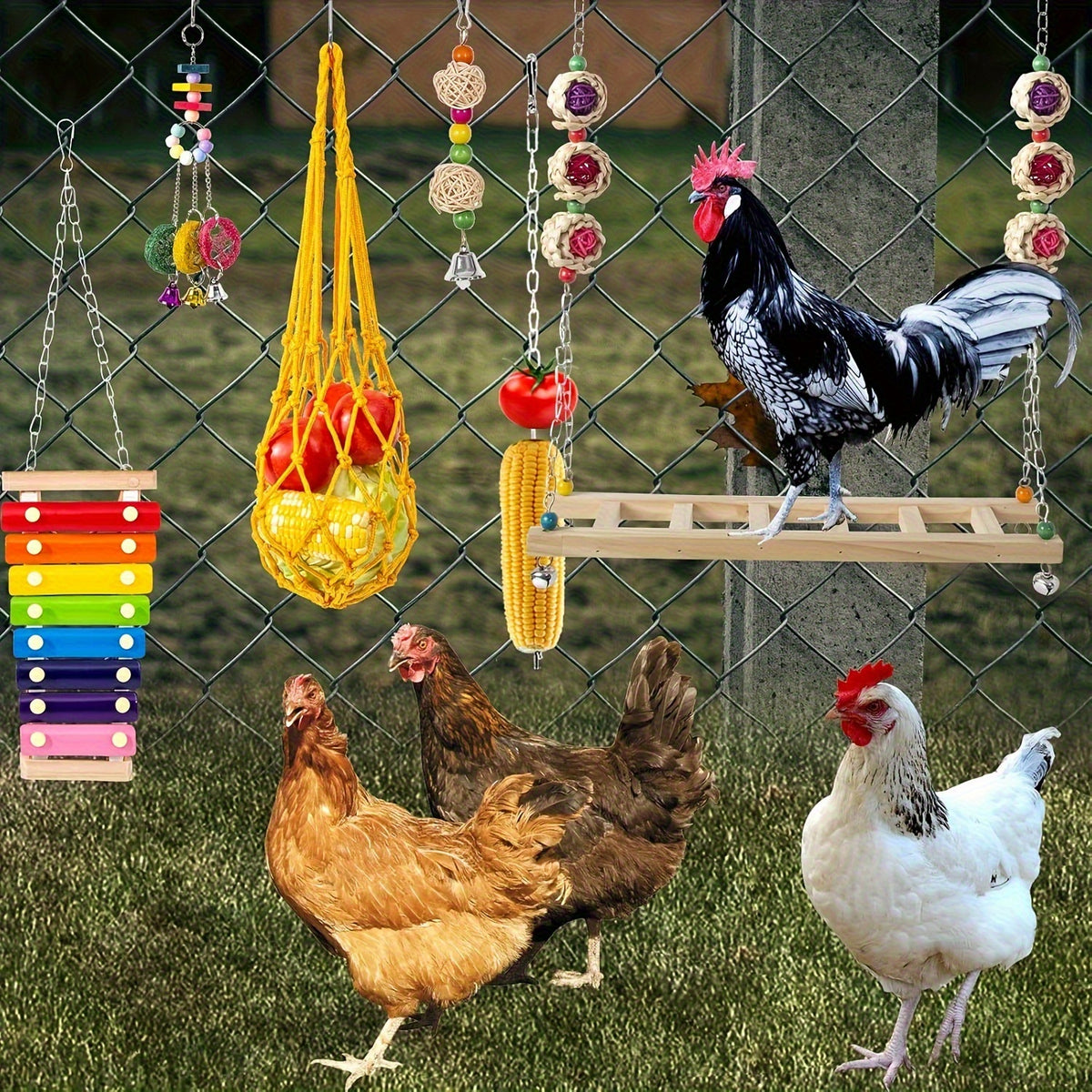 Chicken Toys for Coop Enrichment, Random 1, 3 or 6 Piece Options for Hens and Roosters, Poultry Run Accessories for Supervised Backyard Bird Play