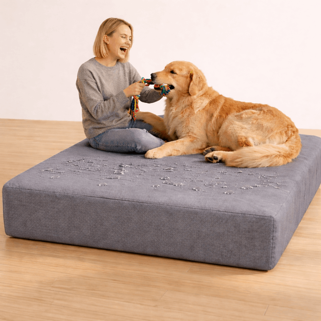 Water Repellent Dog Bed Cover 36x27x4 Inch, Washable Pet Bed Cushion Cover with Zipper, Scratch Resistant Replacement Cover for Medium Large Dogs, Grey Navy Black