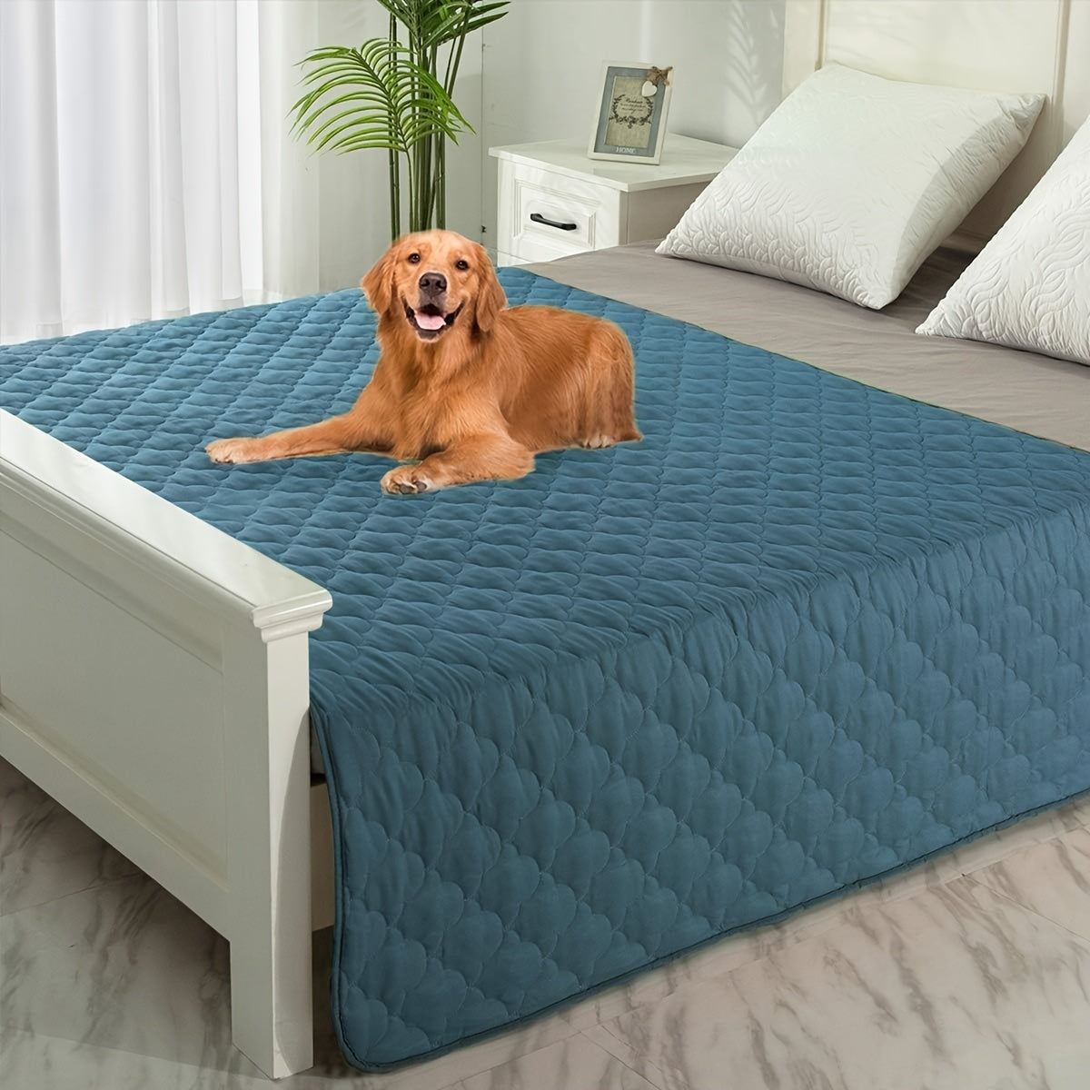 Washable Dog Blanket for Couch and Bed, Reversible Reusable Pet Furniture Protector for Puppies, Large Dogs and Cats, Single Pack