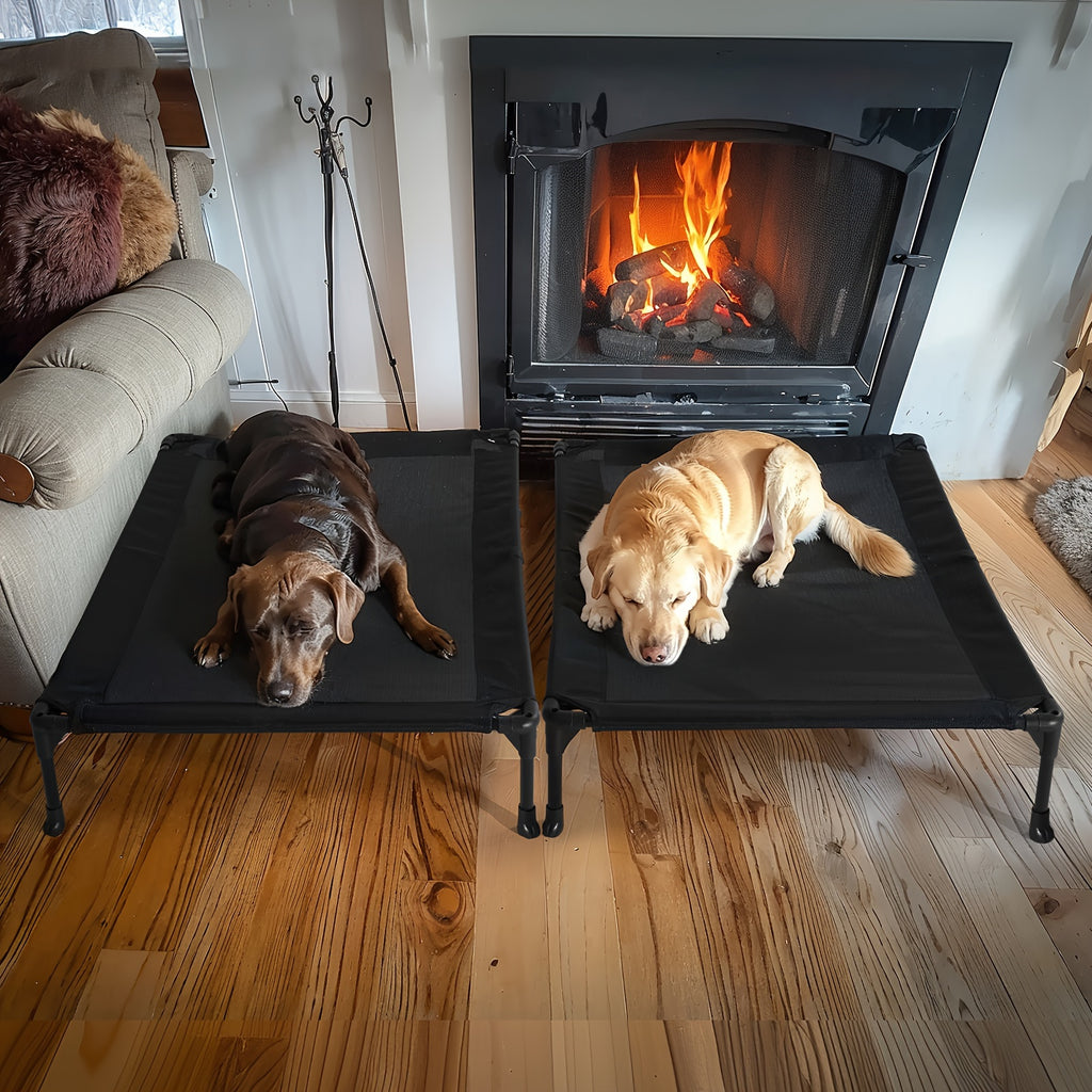 Elevated Dog Bed 2 Pack for Large Dogs, 42 x 30 Inch Breathable Mesh Raised Cots with Non-Slip Feet, Tool-Free Assembly for Indoor, Patio and Camping