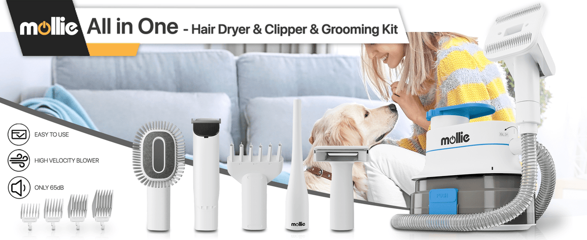 Dog Grooming Vacuum and Dryer Kit with 6 Grooming Tools, Trimmer and Guide Combs for At-Home Dog and Cat Coat Care, MoNiBloom
