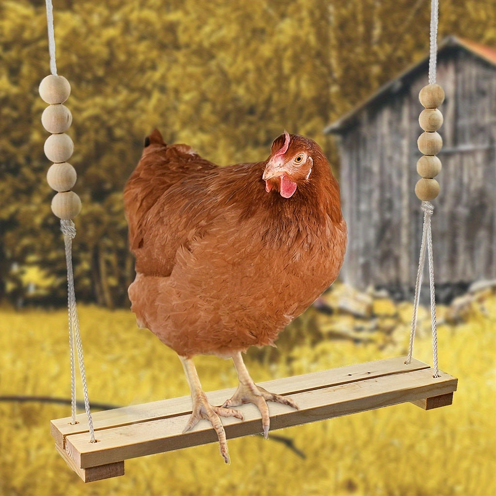 Chicken Toys for Coop Enrichment, Random 1, 3 or 6 Piece Options for Hens and Roosters, Poultry Run Accessories for Supervised Backyard Bird Play