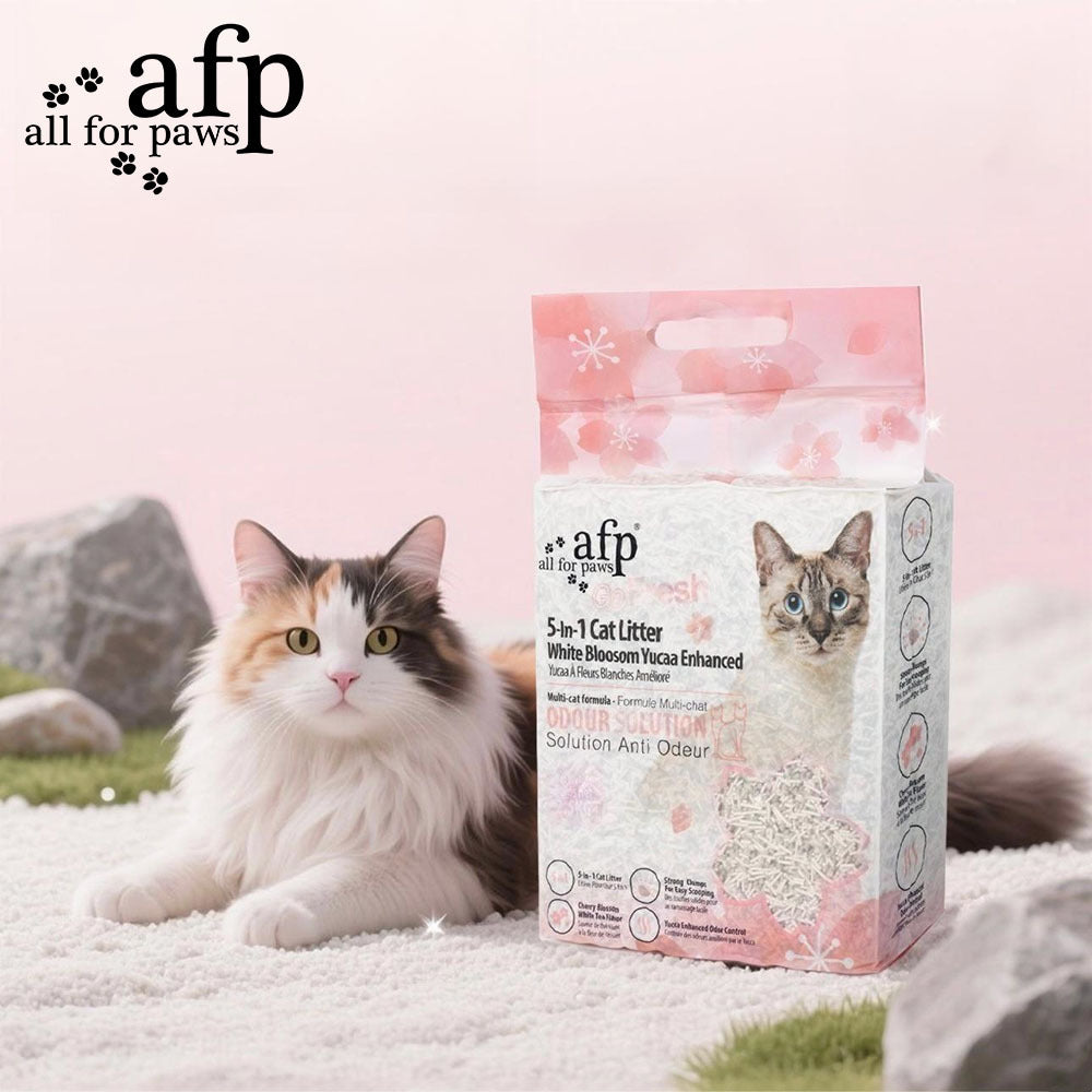 White Blossom Tofu Cat Litter, All For Paws 5-in-1 Yucca-Enhanced Low-Dust Clumping Blend for Indoor Cats, 11 lb, 22 lb or 33 lb Pack Options