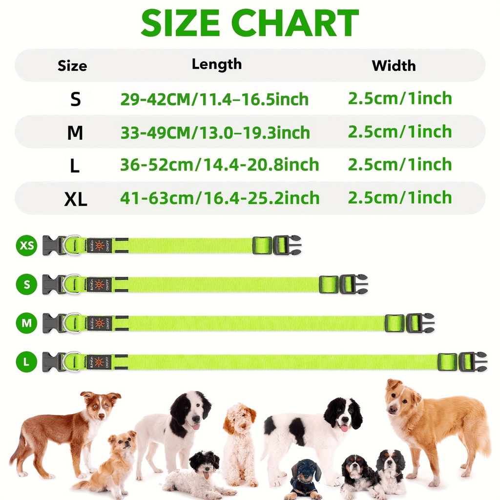 Light Up Dog Collar with 4 Bells, Micro USB Rechargeable LED Nylon Pet Collar with Adjustable Fit, Plastic Buckle and D-Ring for Night Walks