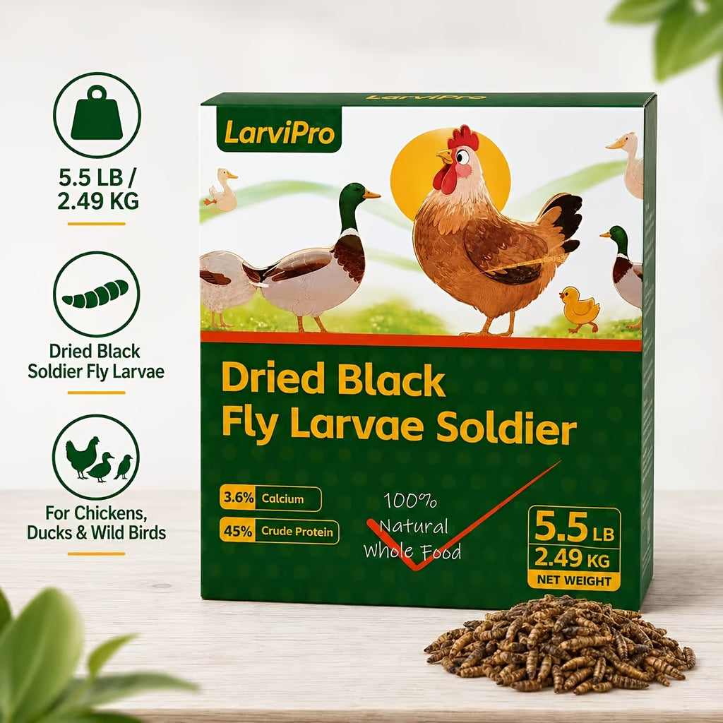 Chicken Grub Treats, Dried Black Soldier Fly Larvae in 5.5 lb or 11 lb Packs for Backyard Hens, Ducks and Wild Birds, Supplemental Foraging Snacks