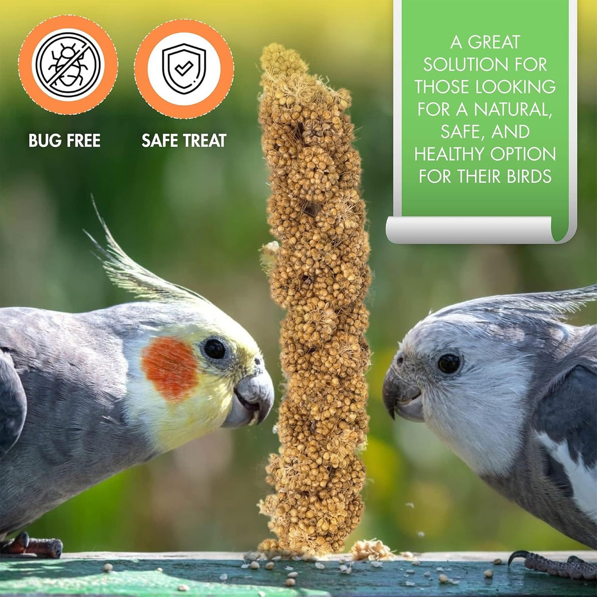 Millet Spray for Birds, Golden Seed Treats for Parakeets, Budgies, Cockatiels, Finches and Canaries, 5 lb Bulk or 2 Long Spray Options