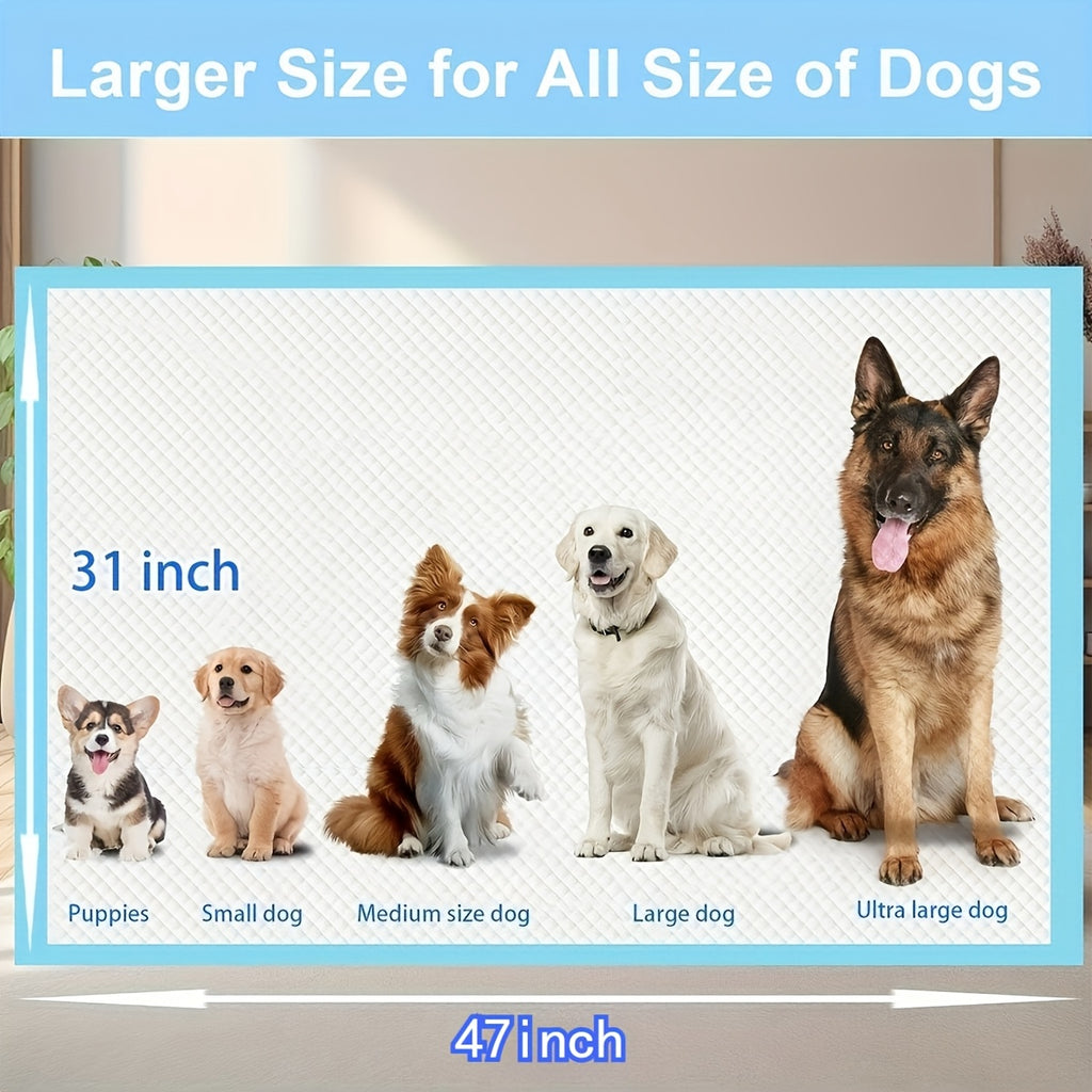 Dog Pee Pads with 12g Absorbent Polymer, 31 x 47 Inch 60 Count Six-Layer Disposable Puppy Potty Training Pads for Large Dogs and Indoor Floor Protection