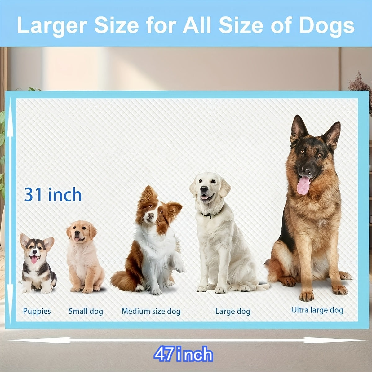 Dog Pee Pads with 12g Absorbent Polymer, 31 x 47 Inch 60 Count Six-Layer Disposable Puppy Potty Training Pads for Large Dogs and Indoor Floor Protection
