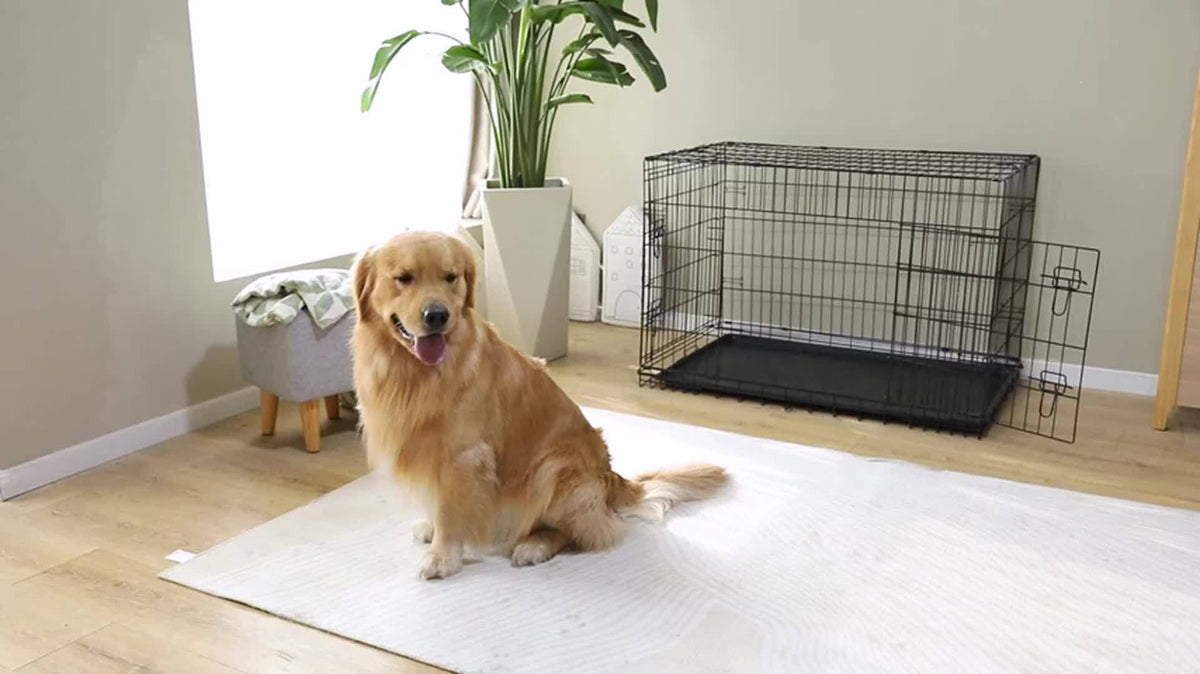 Double Door Dog Crate with Divider Panel, Folding Metal Wire Pet Kennel with Leak-Proof Plastic Tray in 24.41 or 30.31 Inch Sizes