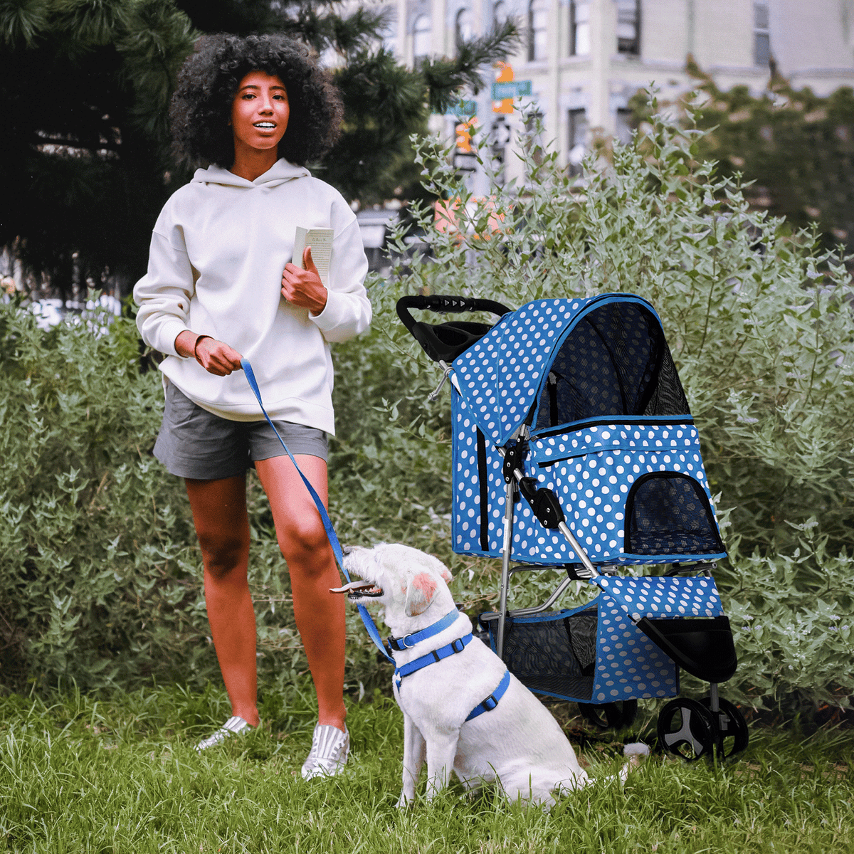 Three-Wheel Dog Stroller with Weather Cover, Foldable Mesh Pet Pushchair for Small Dogs and Cats, Storage Basket, Cup Holder and 10 Style Options