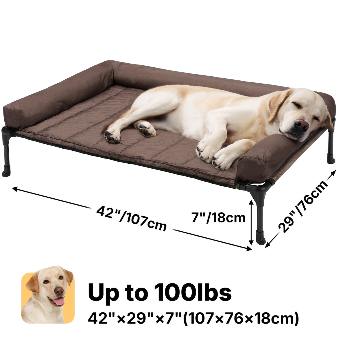 Elevated Dog Bed with Removable Pillow-Top Mat, Three-Sided Bolster Pet Cot with Breathable Teslin Mesh, Steel Frame and Non-Slip Feet in Four Sizes