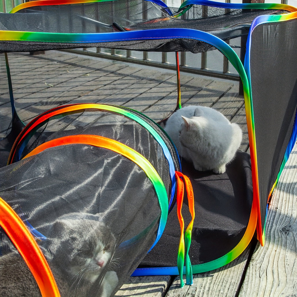 Outdoor Cat Enclosure with Play Tunnel, Portable Mesh Catio Tent with Rainbow Trim for Indoor Cats and Supervised Backyard Exploration