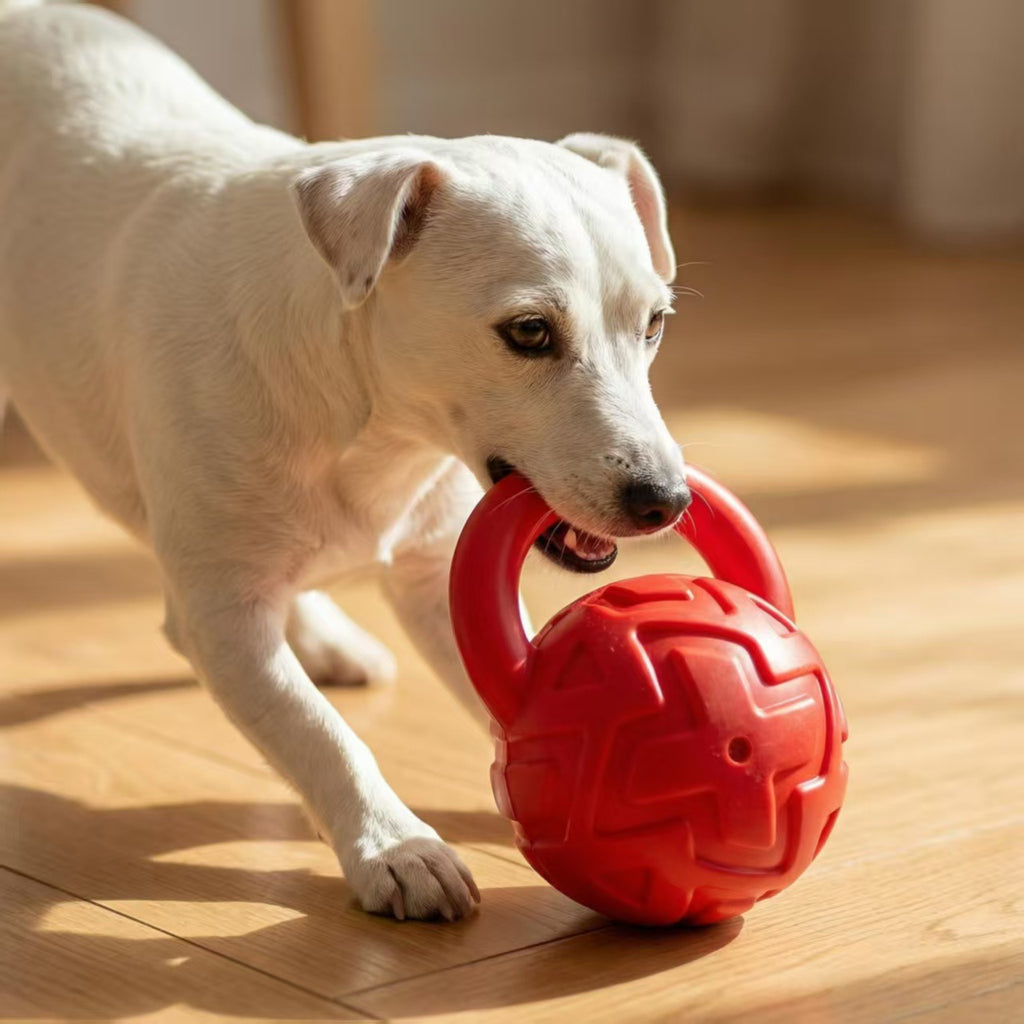Kettlebell Squeaky Dog Toy with Loop Handle, Red Textured Vinyl Sound-Making Pet Toy for Supervised Fetch, Carry Games and Interactive Play