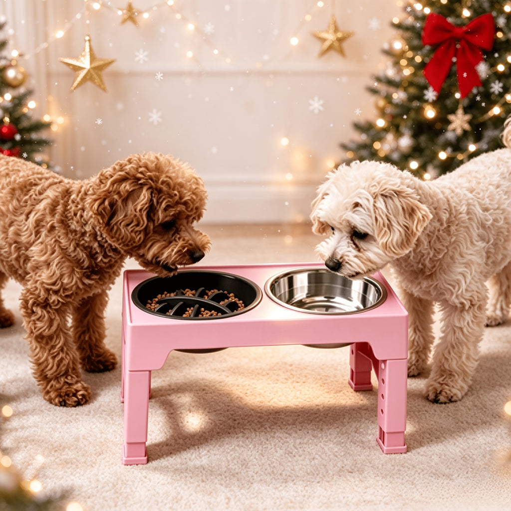 5-Height Dog Bowl Set with Foldable Adjustable Stand, Slow Feeder and Stainless Steel Bowl for Medium and Large Dogs, Black or Pink