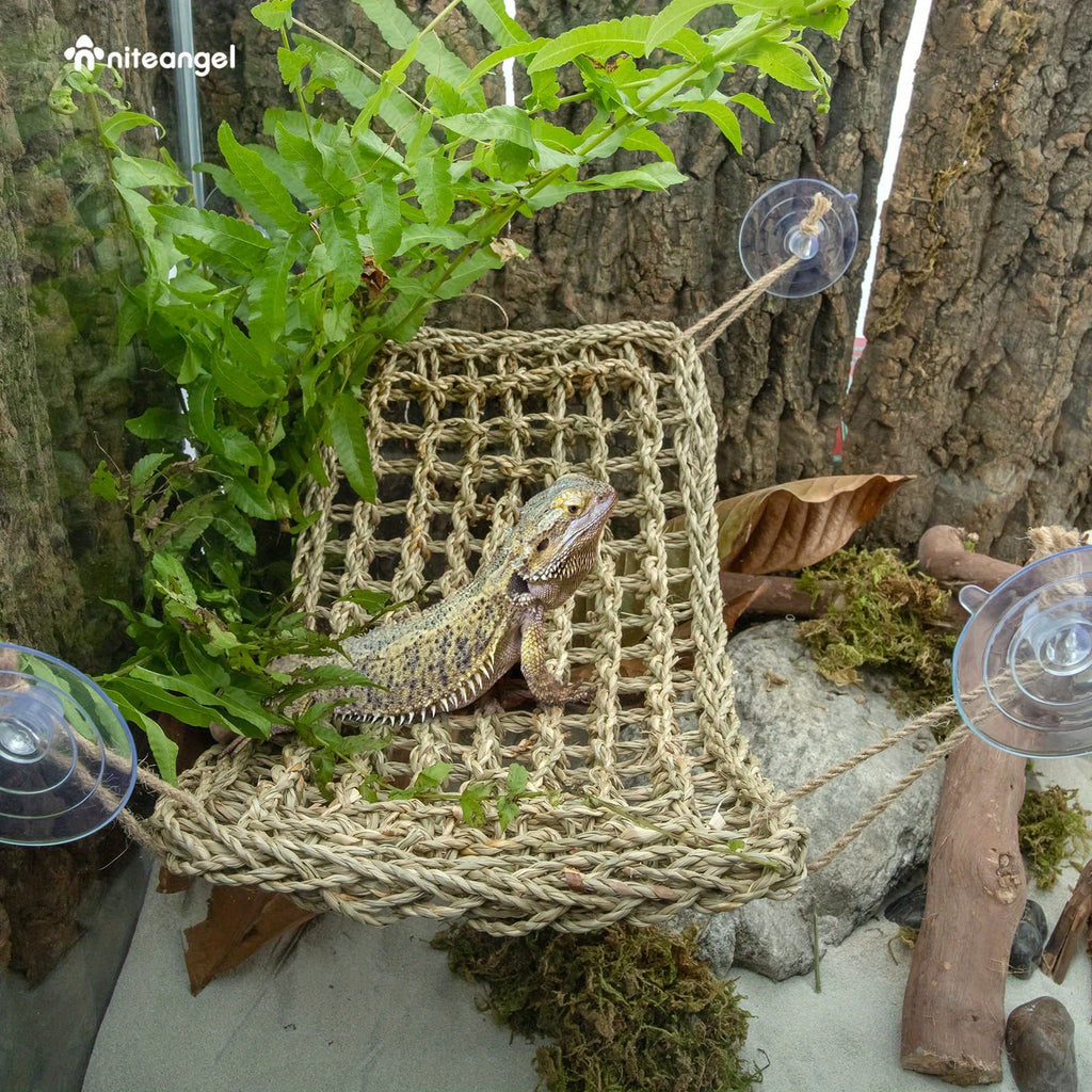 Reptile Hammock for Bearded Dragons & Lizards, Large Hanging Lizard Lounger for Terrarium Resting Areas and Habitat Accessories, 1pc