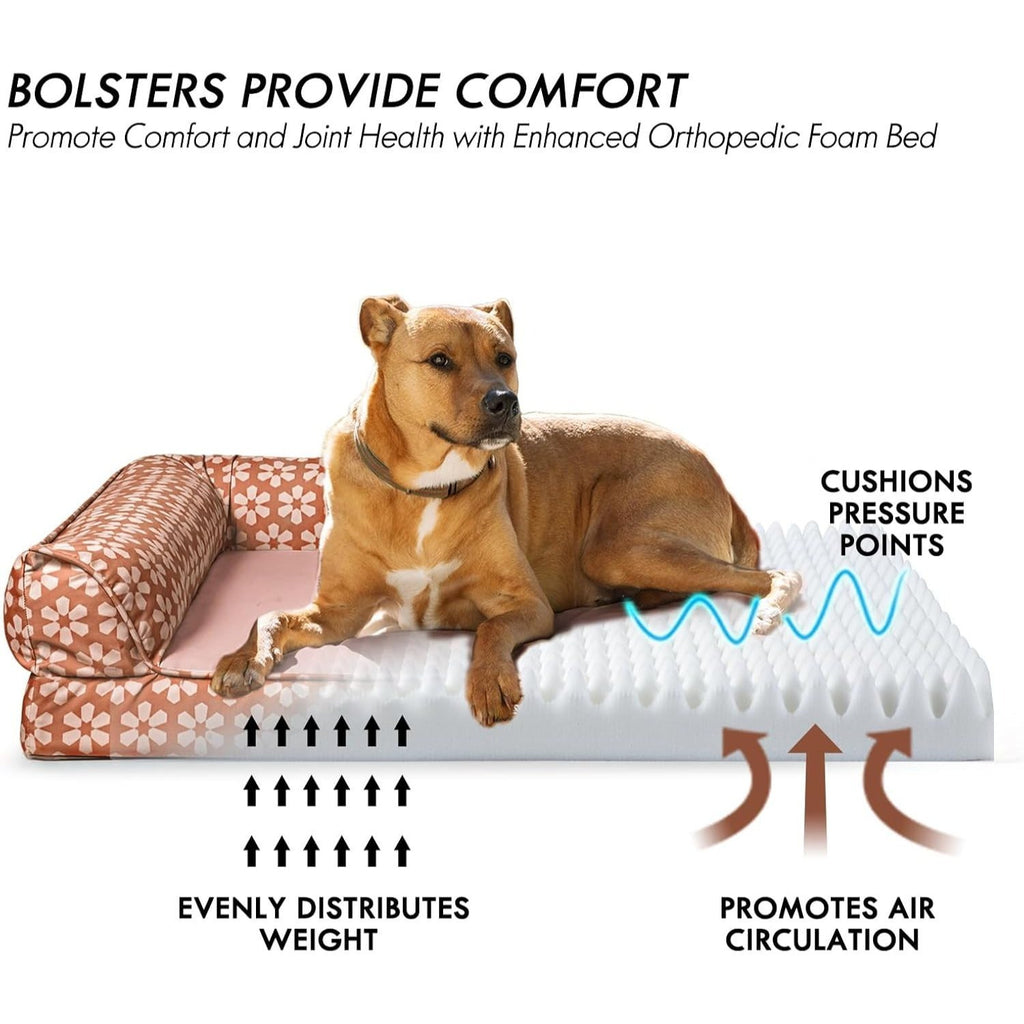 Dog Bed with Removable Bolsters, Egg Crate Foam Pet Sofa with Machine Washable Cover and Non-Slip Bottom, M L XL Sizes in Three Color Options