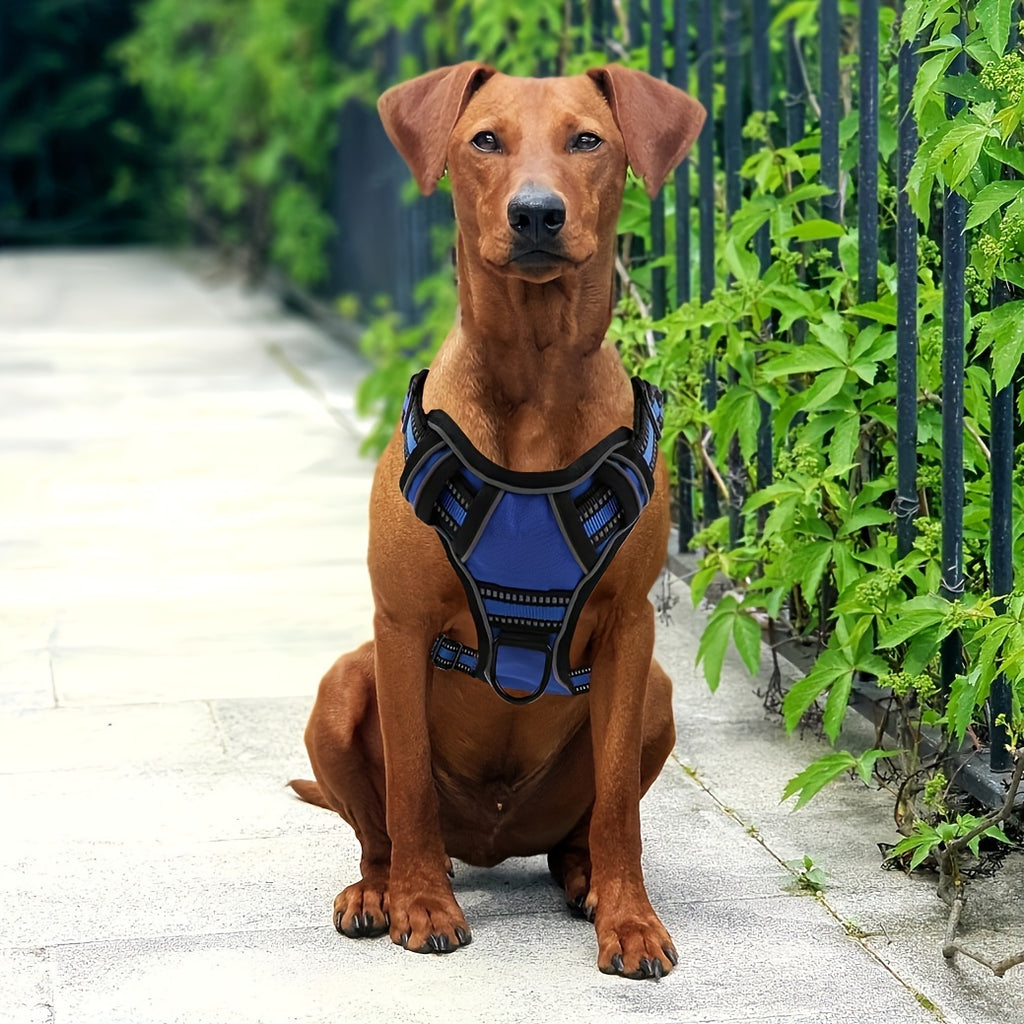 6-Piece Dog Harness and Leash Set, Reflective Oxford Vest with Front and Back Clips, Control Handle, Bowl and Walking Accessories, XS–XL