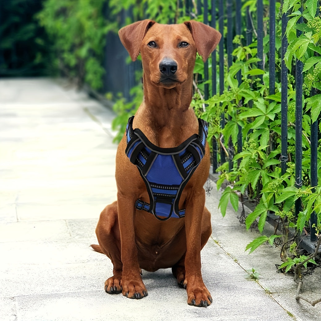 6-Piece Dog Harness and Leash Set, Reflective Oxford Vest with Front and Back Clips, Control Handle, Bowl and Walking Accessories, XS–XL