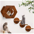 Cat Wall Shelves with Hexagon House, 4-Piece Wooden Climbing Furniture Set with 3 Steps and Scratching Post for Small and Medium Indoor Cats up to 20 lbs