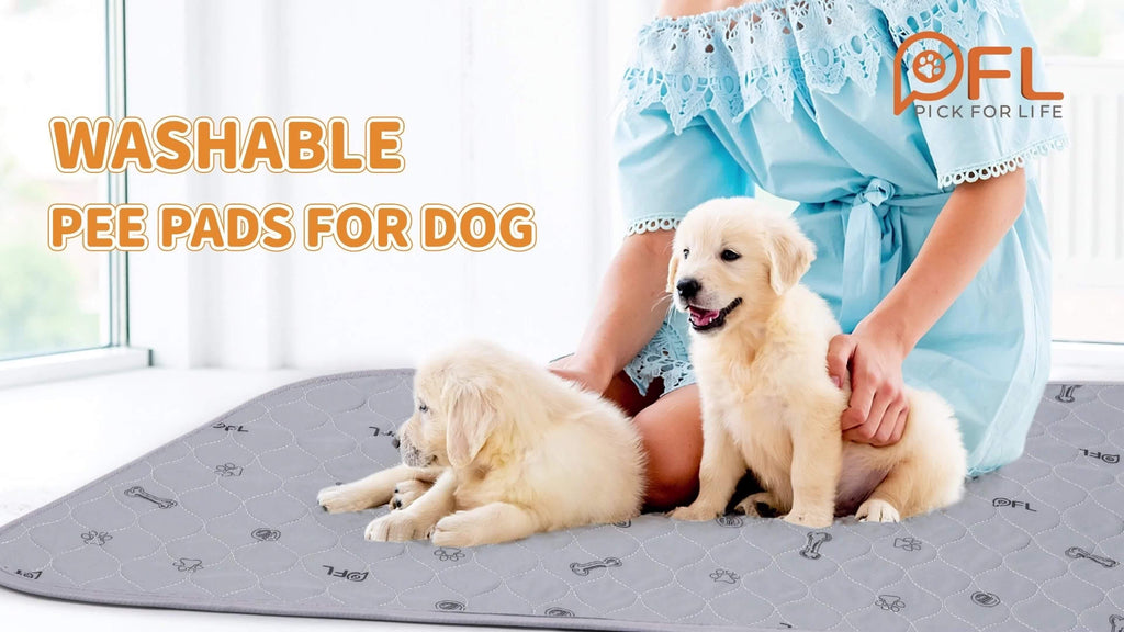 Washable Puppy Training Pads in 24 x 16 or 36 x 41 Inches, Reusable Four-Layer Non-Slip Dog Pee Mats with Size-Specific 2 or 6 Pack Options