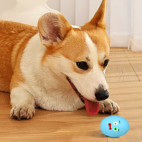 Squeaky Egg Dog Balls 10 Pack for Puppies and Small Dogs, Bouncy Oval Fetch Toys That Float for Supervised Chase and Water Play, No Batteries Needed
