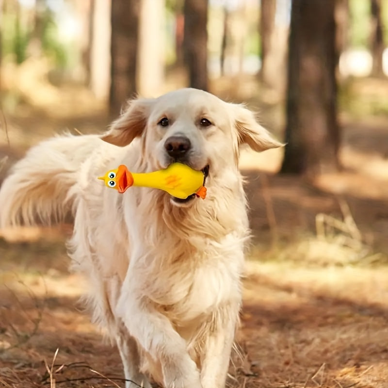 Squeaky Chicken Dog Toy, Rubber Chew and Interactive Play Toy with Brown Chicken, Black Duck or Three-Piece Bird Set Options