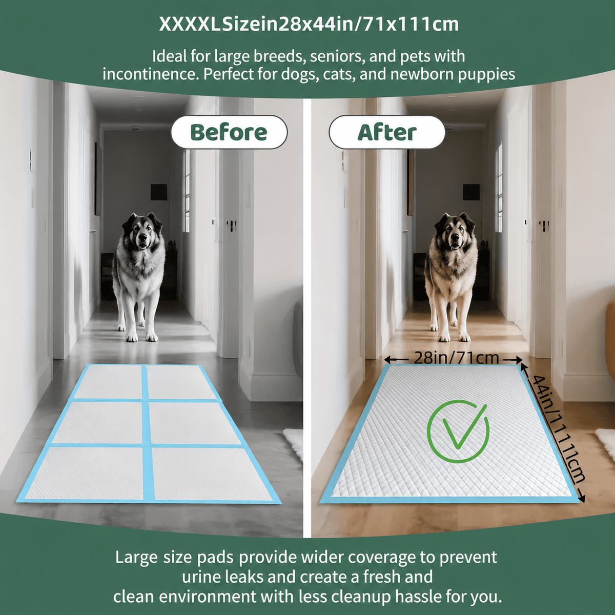 Extra Large Dog Pee Pads for Large Dogs and Multi-Dog Homes, Disposable Pet Potty Training Mats in 75 Count or 35.43-Inch Square 52+3 Pad Options
