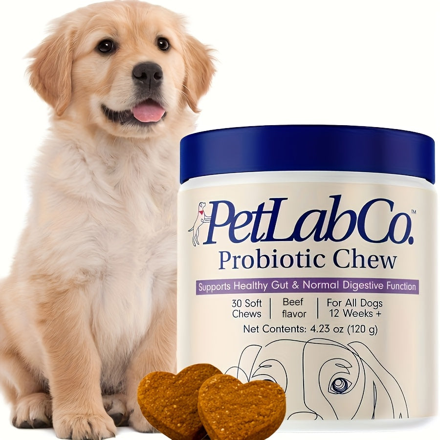 Beef Flavor Dog Probiotic Chews, 30 Soft Chews per Jar with Probiotics and Prebiotics for Canine Supplement Routines, 1 or 3 Pack