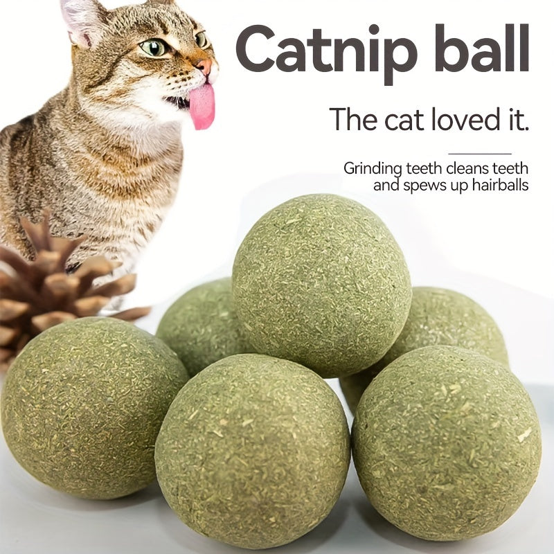 Catnip Silvervine Balls 6 Pack, Cat Herb Toy Balls for Supervised Indoor Play, Everyday Toy Rotation and Cat Lover Holiday Gift Baskets