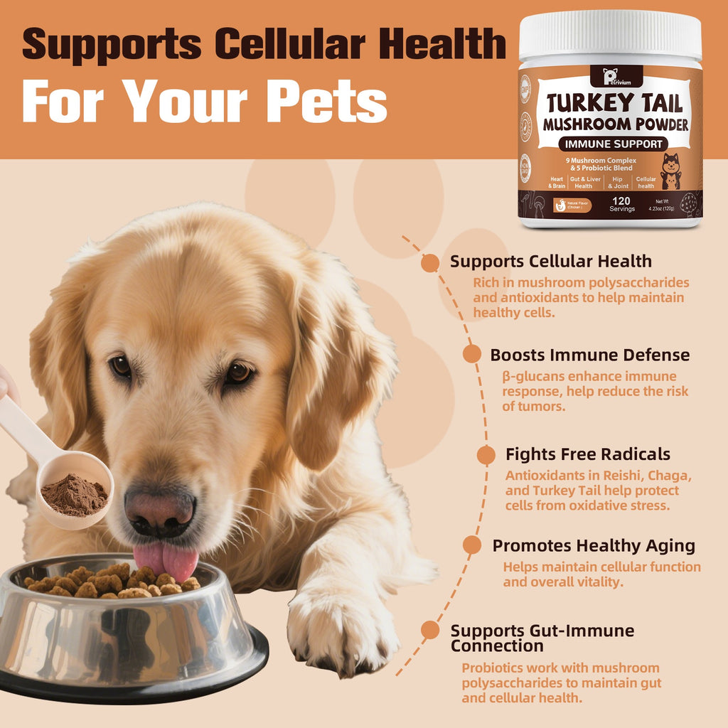 Turkey Tail Mushroom Supplement for Dogs and Cats with Probiotics, 120g 4.23 oz Pet Mushroom Powder for Veterinarian-Guided Supplement Routines