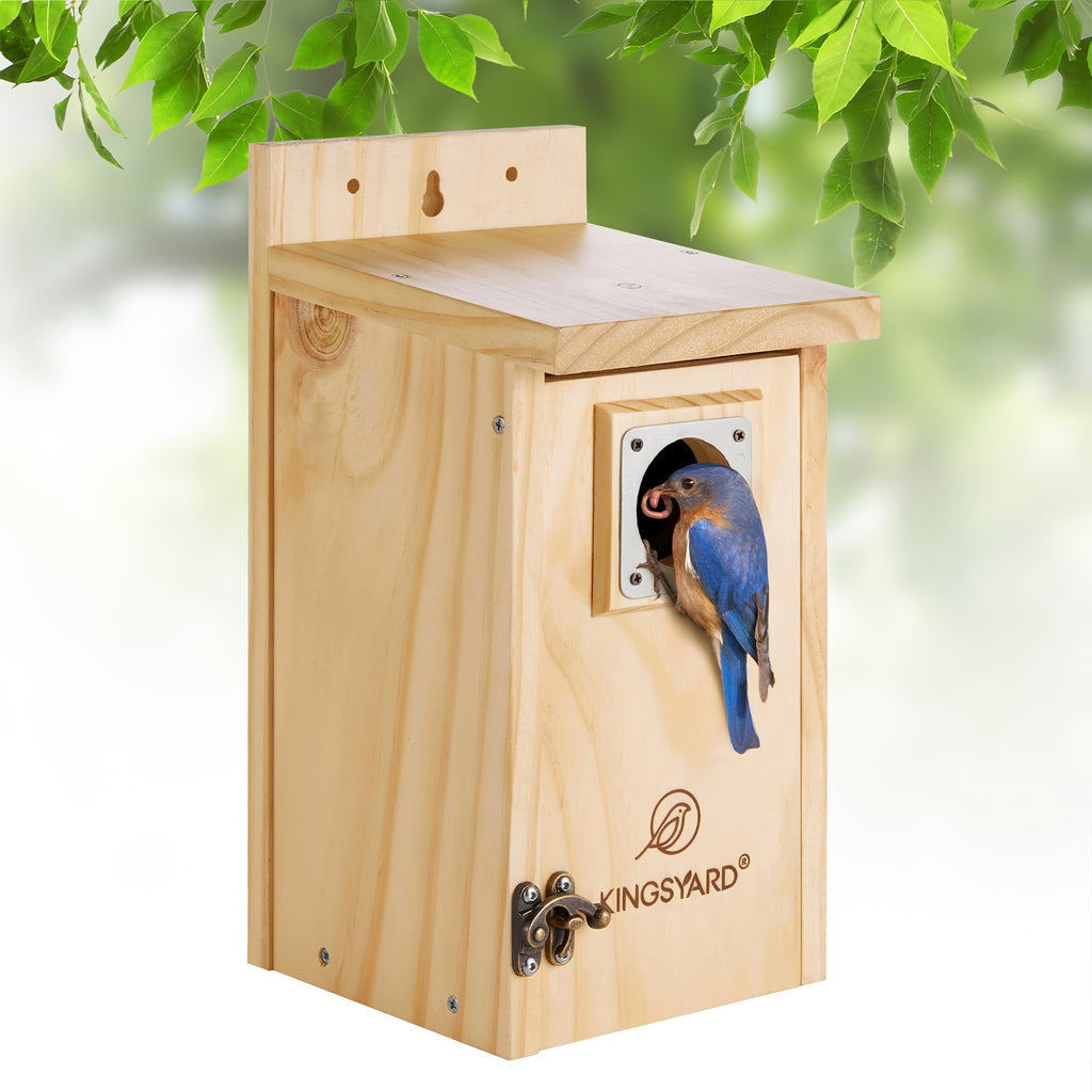 Cedar Bird House for Outside with Stainless Steel Guard, Wood Color Nesting Box for Backyard Gardens, Outdoor Decor and Bird Lover Gifts