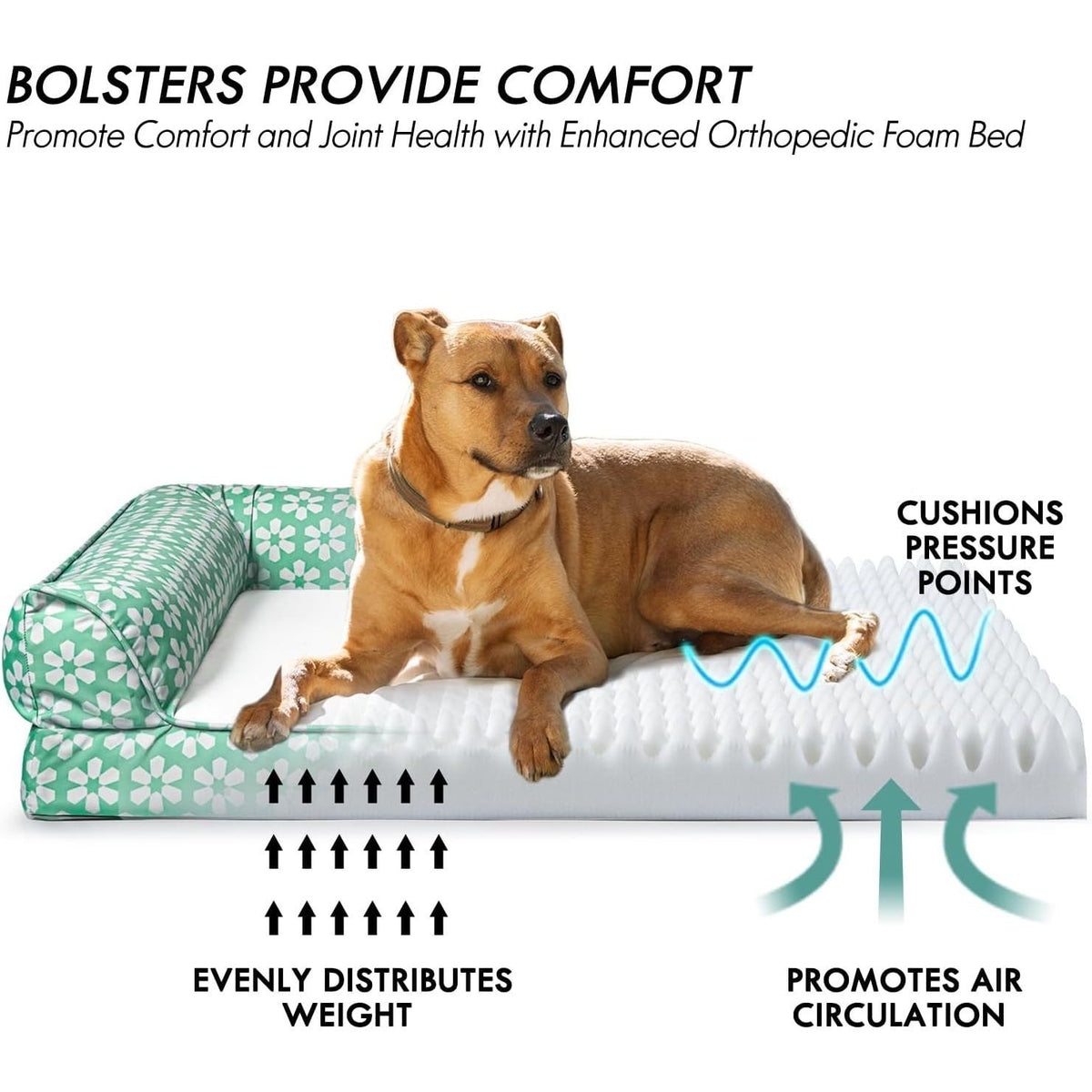 Dog Bed with Removable Bolsters, Egg Crate Foam Pet Sofa with Machine Washable Cover and Non-Slip Bottom, M L XL Sizes in Three Color Options