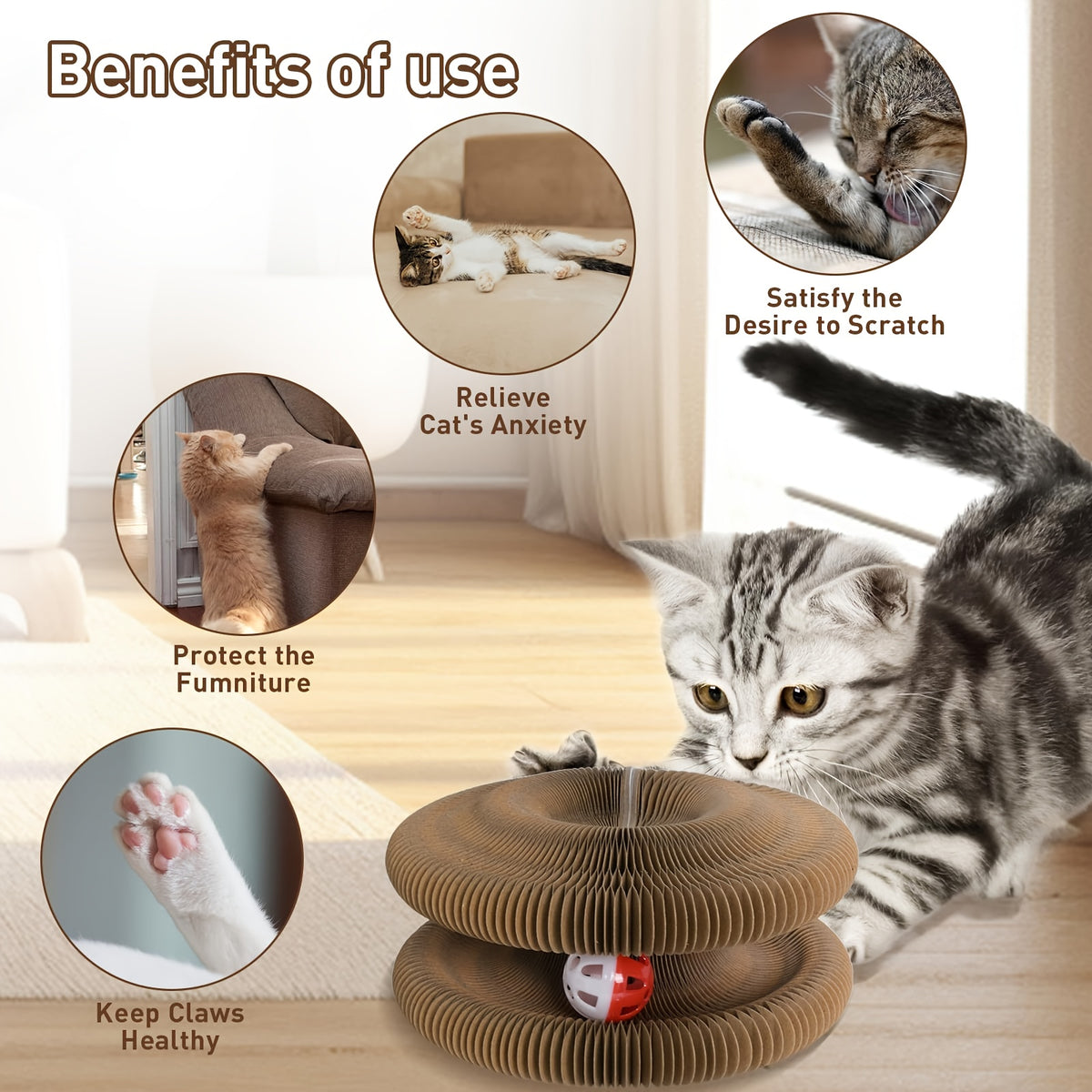 Cat Scratcher Ball Toy 2-Pack, Magic Organ Scratching Board for Indoor Cats, Battery-Free Interactive Play and Everyday Enrichment