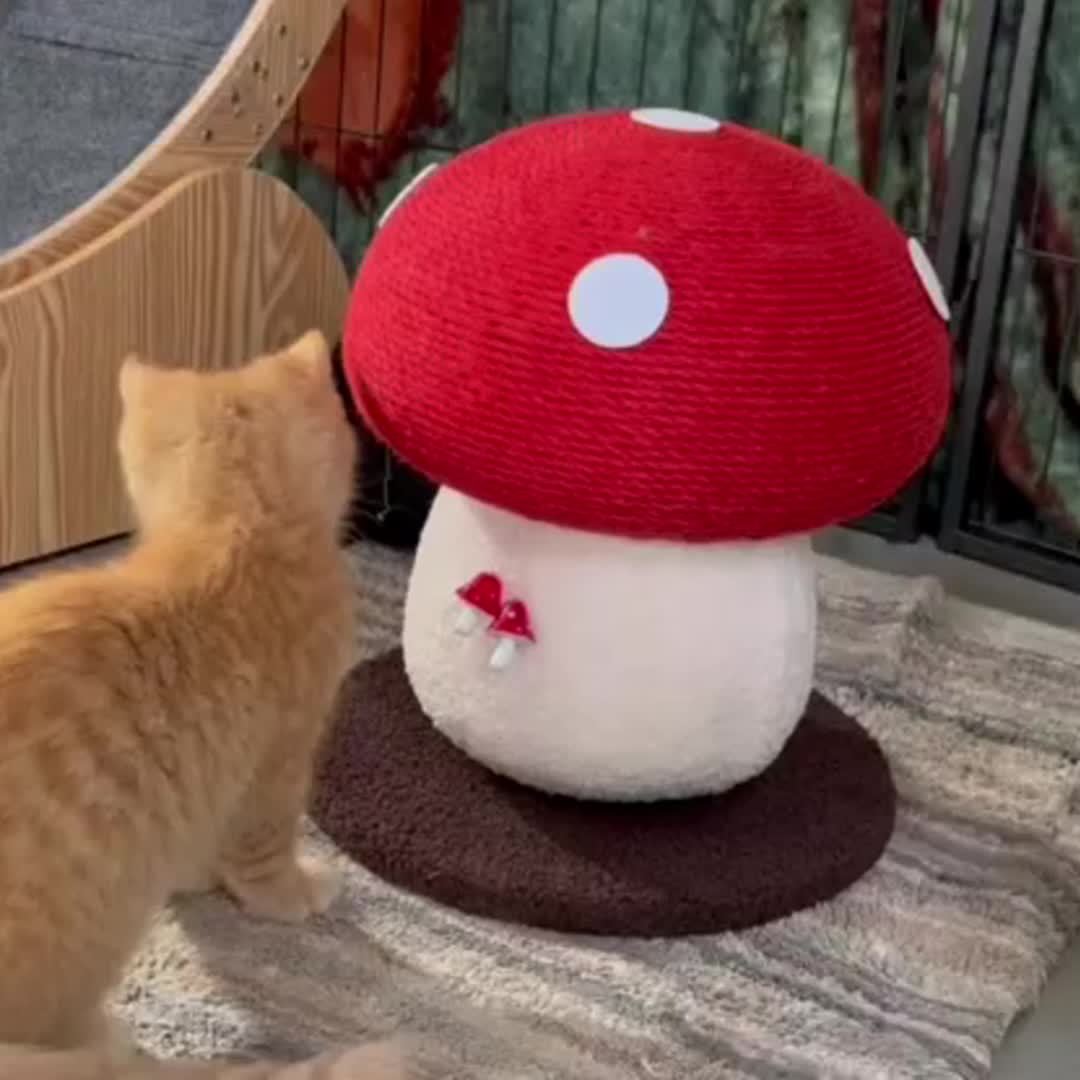 Mushroom Cat Scratching Post with Sisal Surface, Interactive Cat Scratcher Toy for Indoor Cats and Kittens, Everyday Scratch and Play
