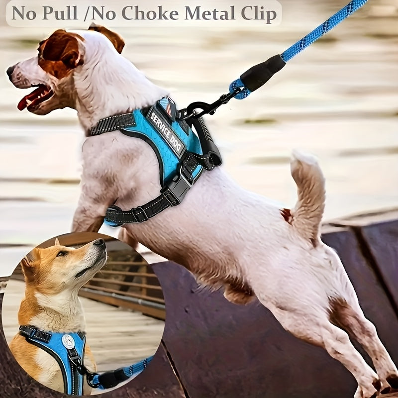 Dog Harness Walking Kit with Reflective No-Pull Adjustable Harness, Leash, Water Bowl and Two Bag Holders, 5-Piece Set for Small Medium and Large Dogs